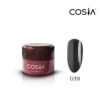 Gel Paint Cosia